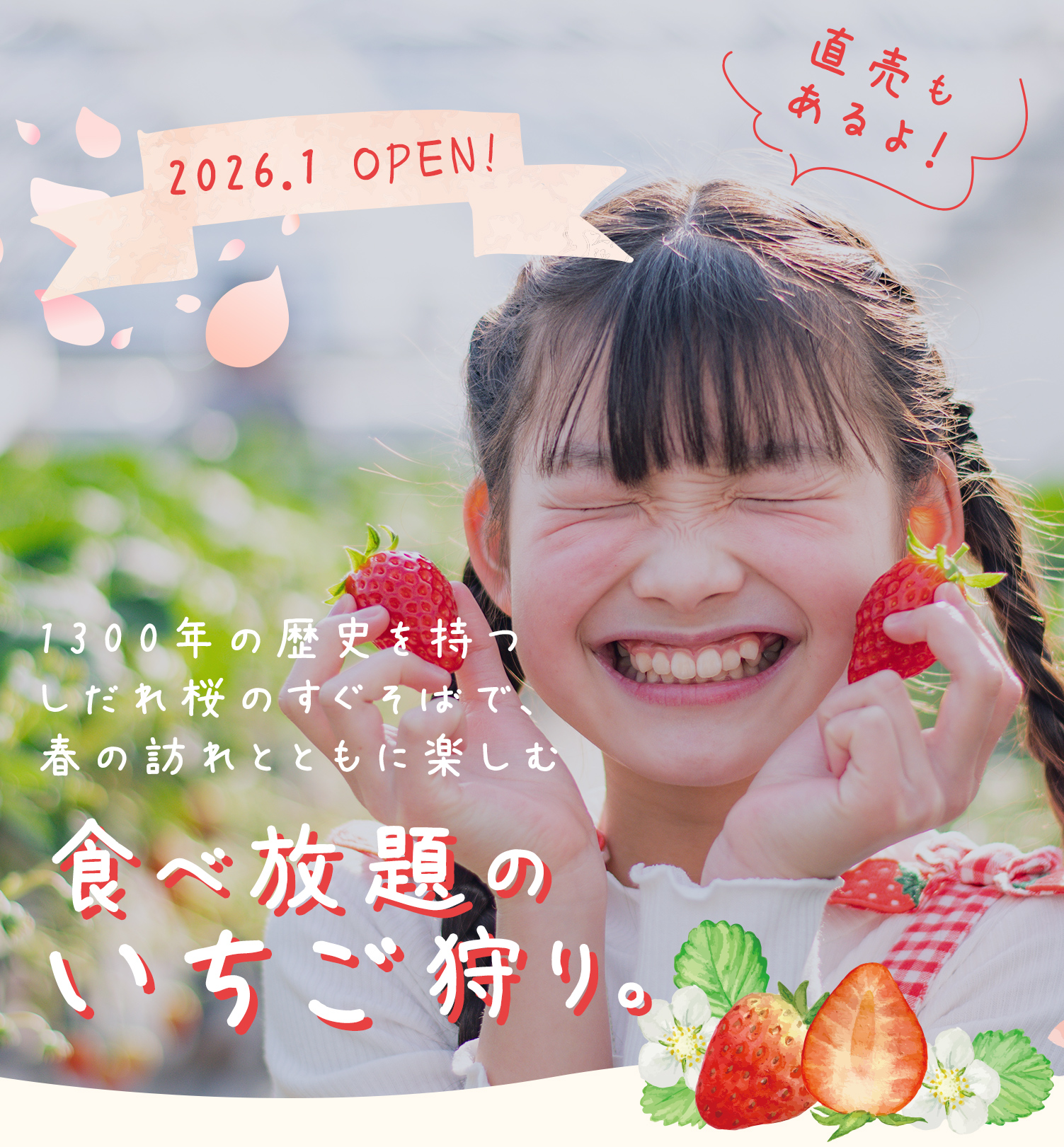 いちご狩り・直売「桜のいちご」岡崎市